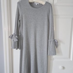 Beautiful silver glitter dress